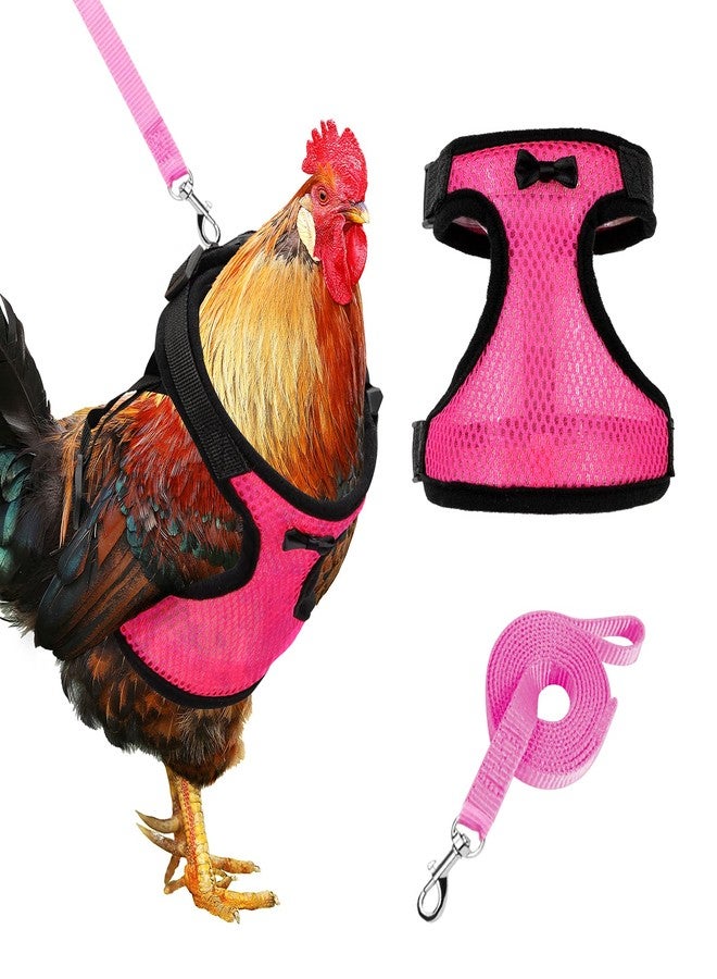 Adhafera Chicken Harness with Leash, Upgraded Double Adjustment Chicken Harness and Leash Set for Hens, Duck, Goose, Small Pet (Pink, S) - Image 1